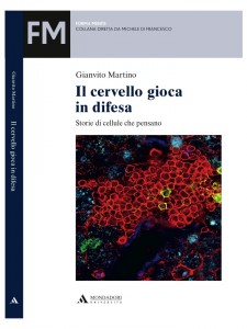 Il cervello gioca in difesa