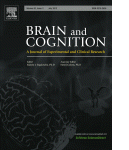 Brain and cognition