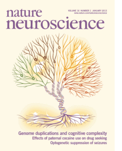 Nature Neuroscience 16