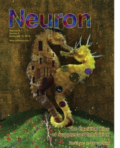 Neuron 79 (6)